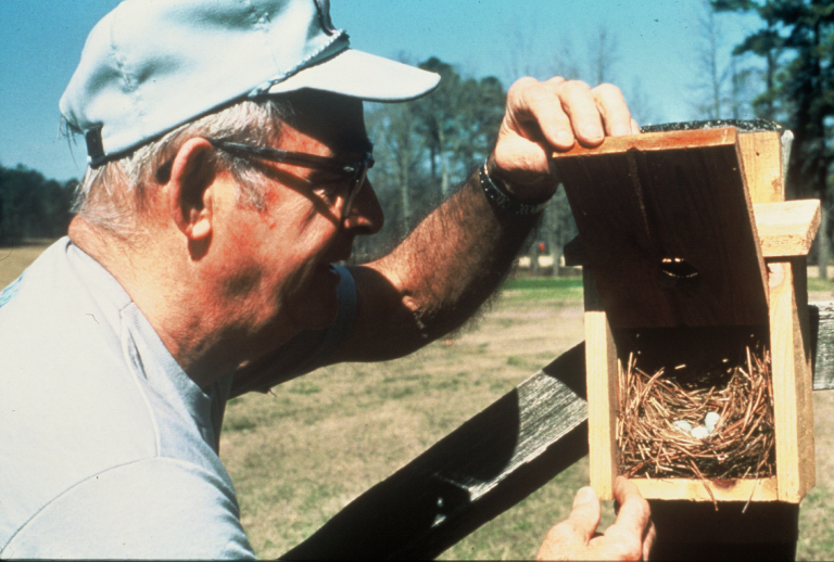 Monitoring Nest Boxes